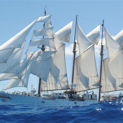 博雅.体育app手机版下载手机app下载