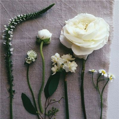 半岛全站app下载